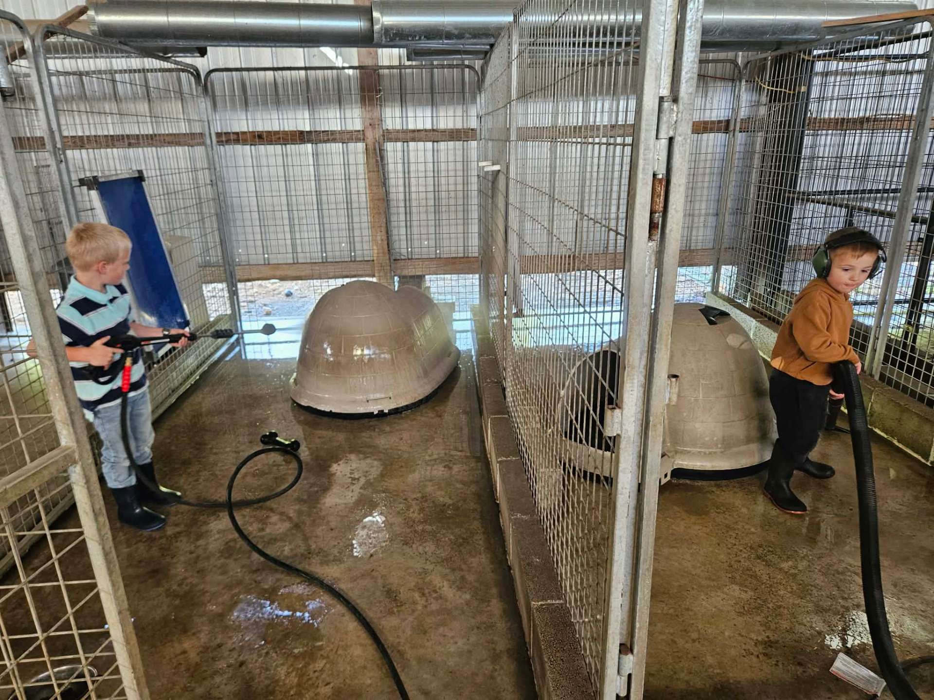 Young volunteers helping clean kennels at Searcy County Humane Society